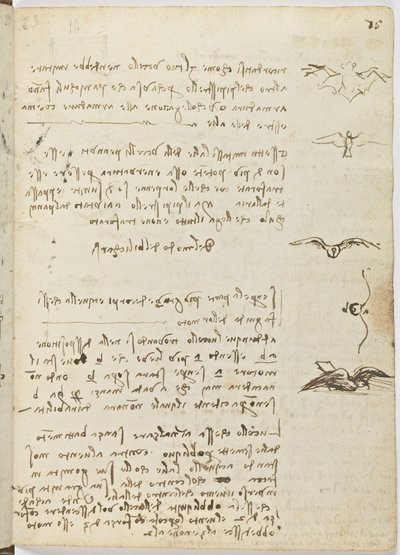 Código sobre el vuelo de los pájaros, c. 1505-06, manuscrito en papel, cc. 18, hoja 15 recto de Leonardo da Vinci